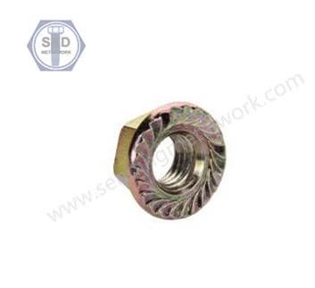DIN 6923 Flange Nuts with Threaded Connection Flange